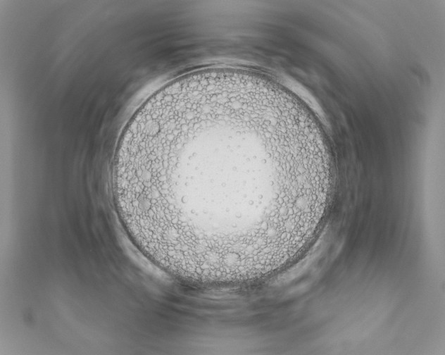 X0000110741338200907271053