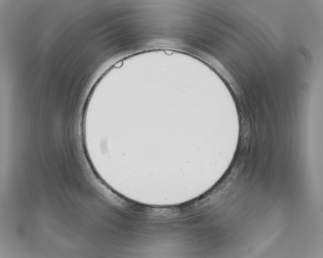 X0000110741339200907271053
