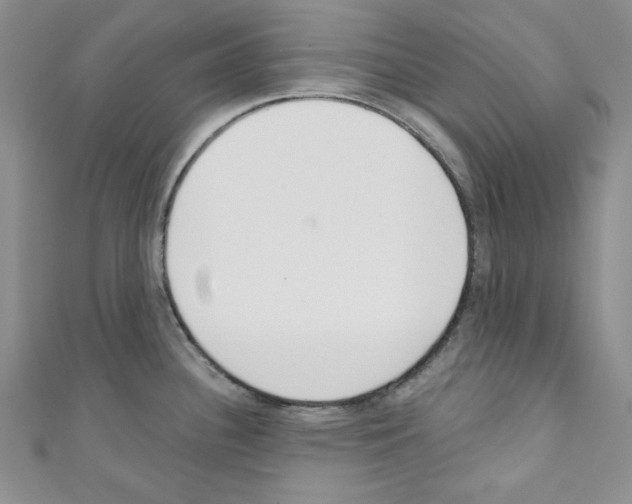 X0000110741340200907271053