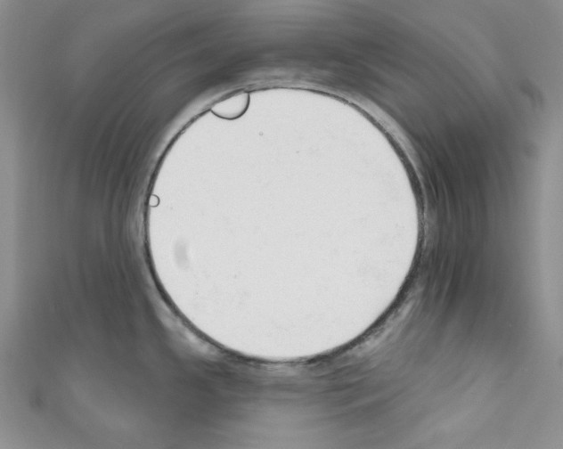 X0000110741341200907271053