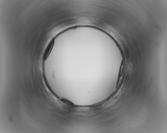 X0000110741342200907271054