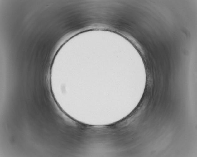 X0000110741343200907271054