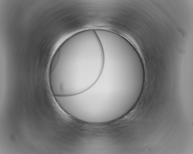 X0000110741344200907271054