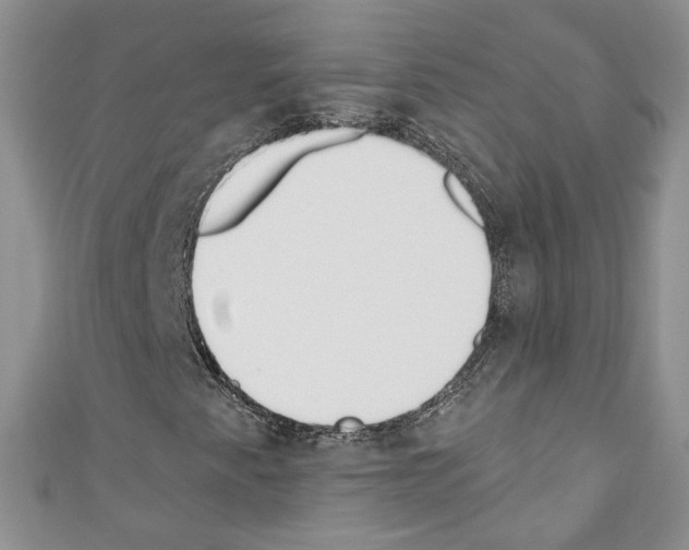 X0000110741345200907271053