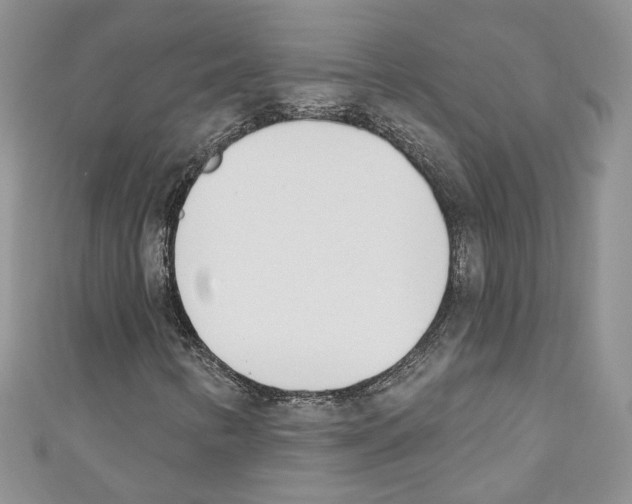 X0000110741346200907271053