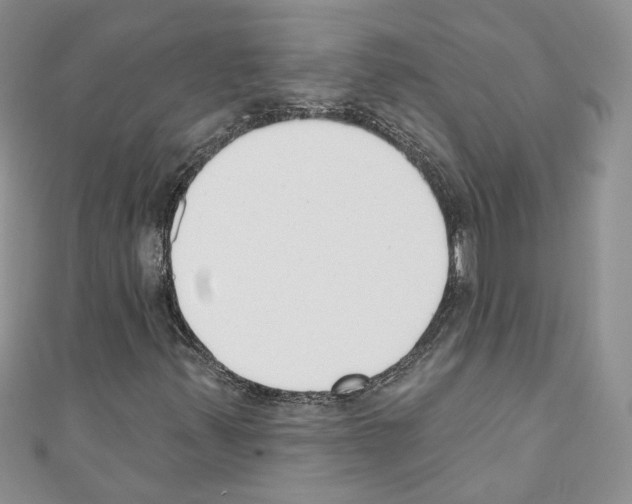 X0000110741347200907271053
