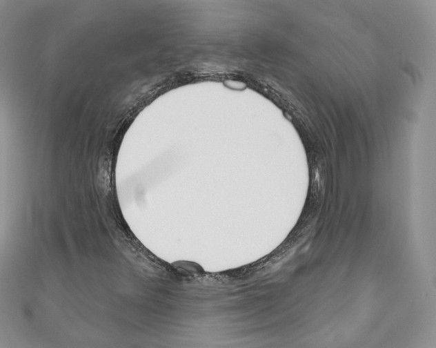 X0000110741348200907271053