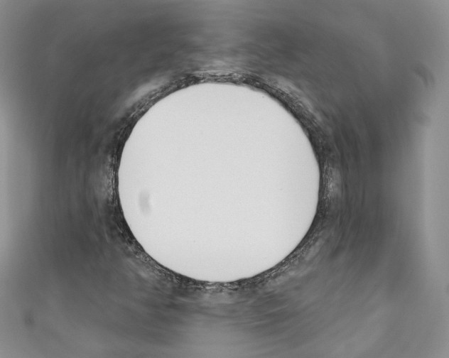 X0000110741350200907271053