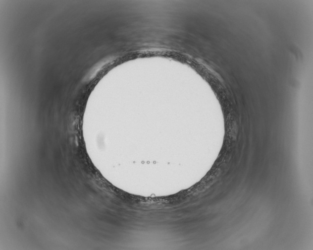 X0000110741351200907271053
