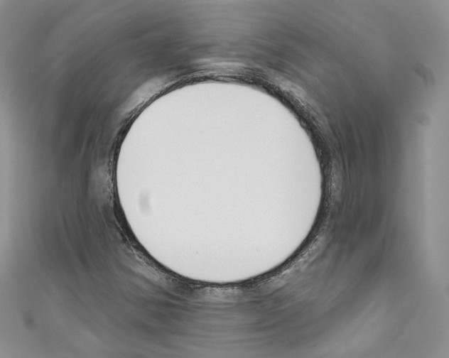 X0000110741354200907271053