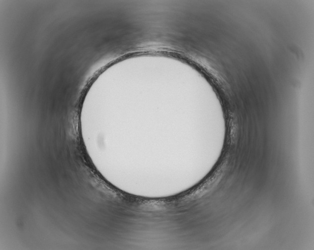 X0000110741358200907271053