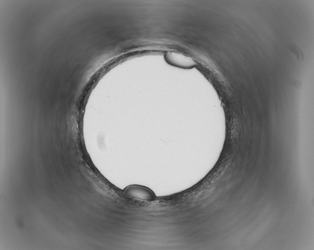 X0000110741360200907271053