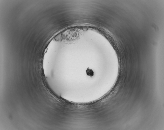 X0000110741361200907271053