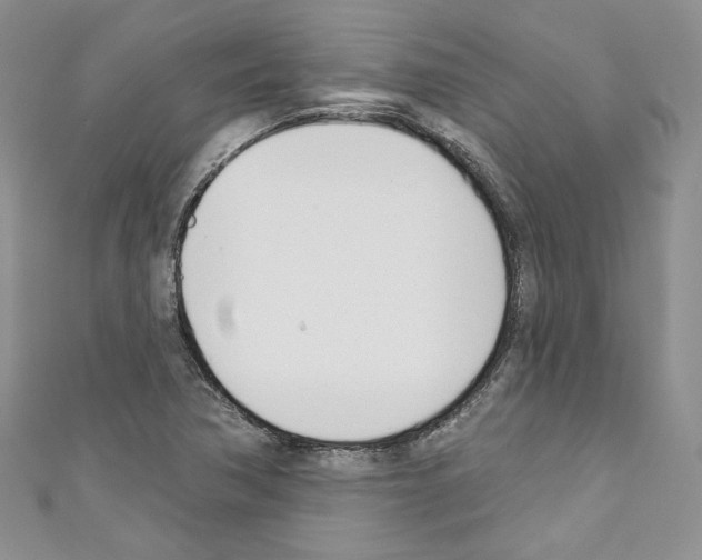 X0000110741362200907271053