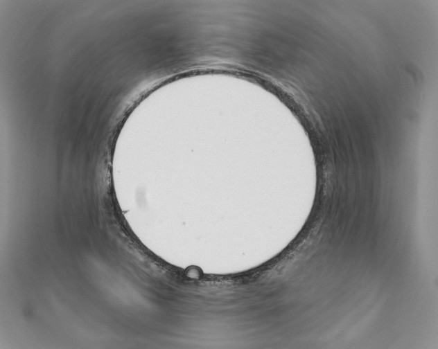 X0000110741363200907271053