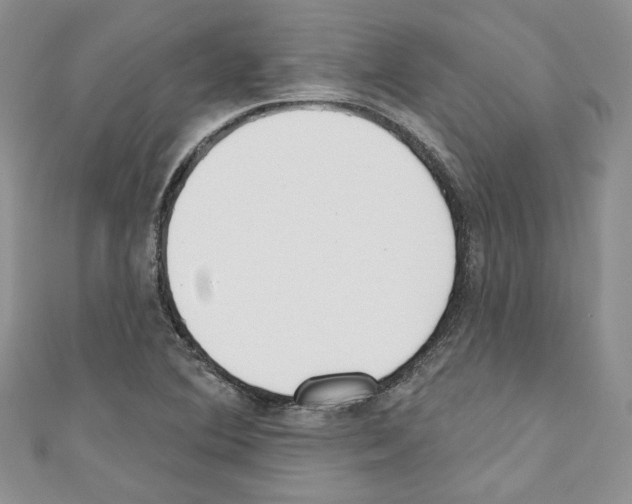 X0000110741364200907271053