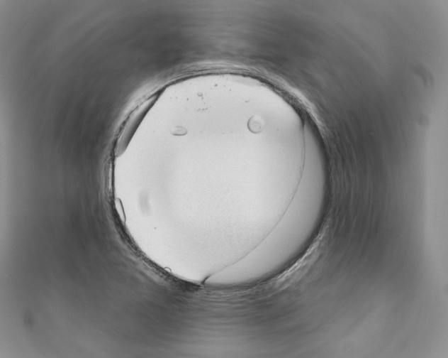 X0000110741365200907271053