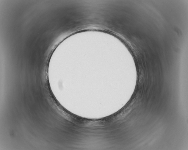 X0000110741367200907271053