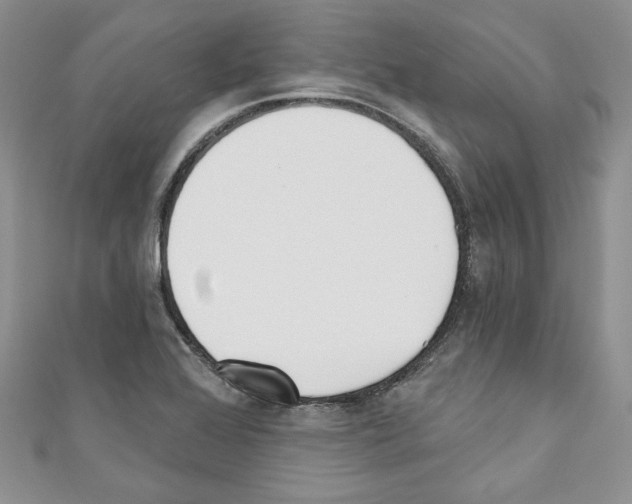 X0000110741368200907271053