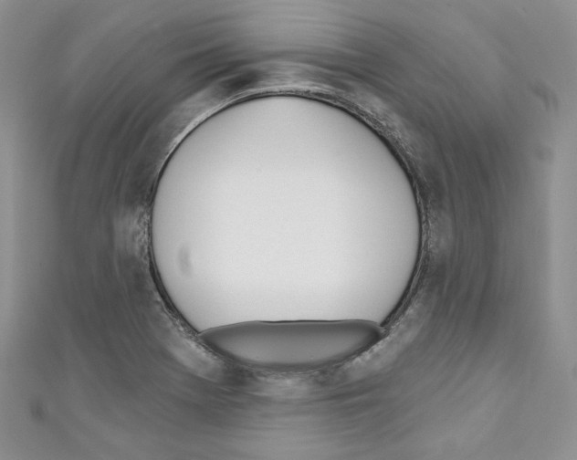 X0000110741369200907271053