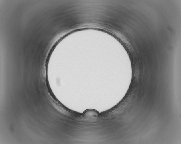 X0000110741372200907271053