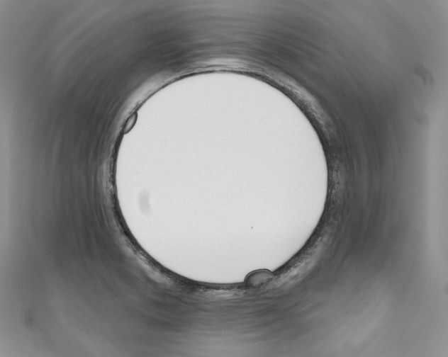 X0000110741373200907271053