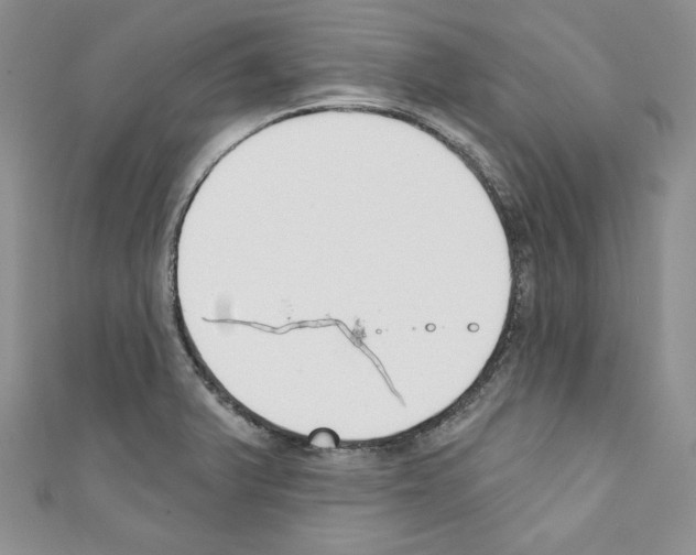 X0000110741375200907271053