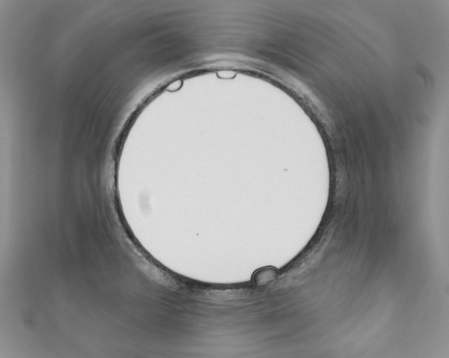X0000110741376200907271053