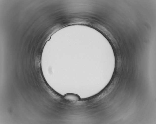 X0000110741377200907271053