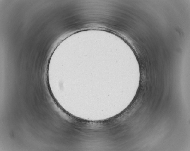 X0000110741379200907271052