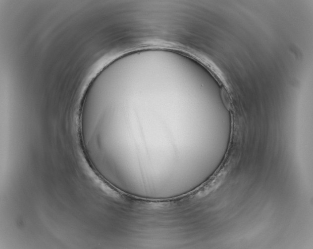 X0000110741381200907271052