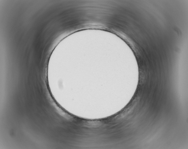 X0000110741383200907271052