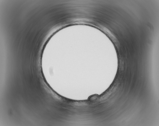 X0000110741384200907271052