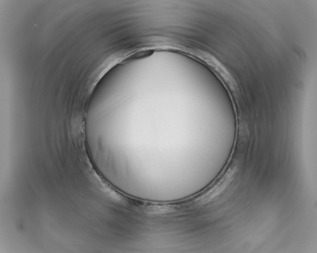 X0000110741385200907271052