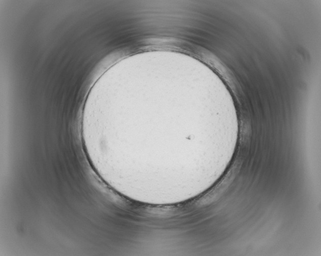 X0000110741386200907271052