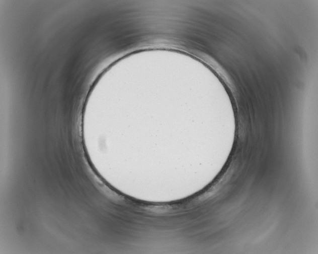 X0000110741388200907271052