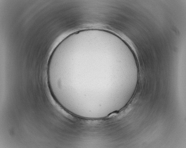 X0000110741389200907271052
