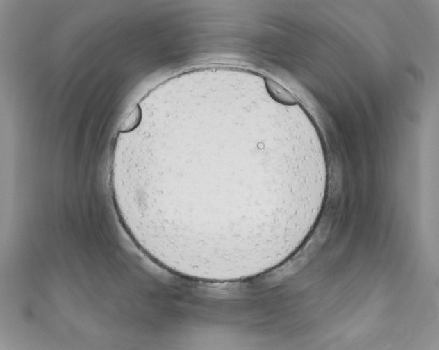 X0000110741390200907271052