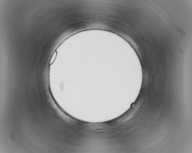 X0000110741391200907271052