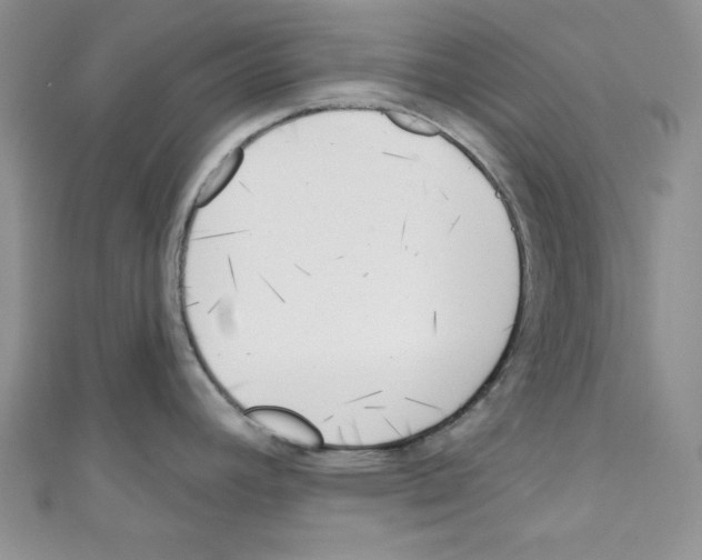 X0000110741392200907271052