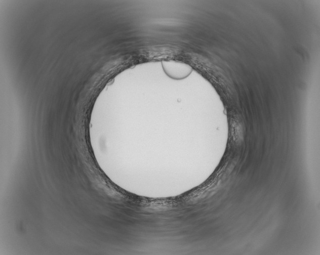 X0000110741393200907271052