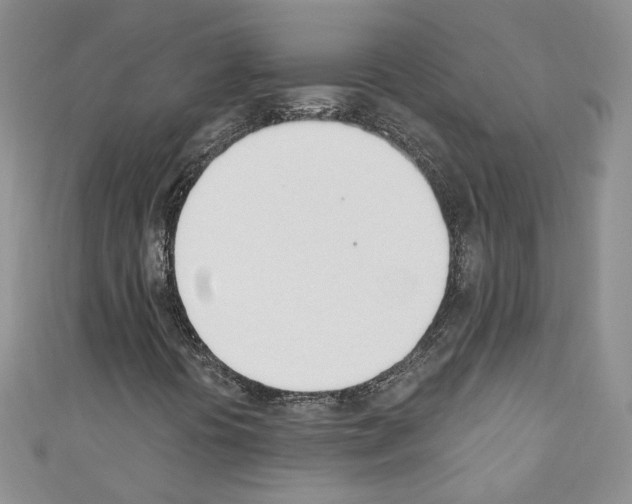 X0000110741394200907271052