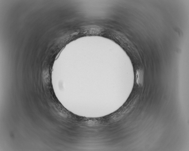 X0000110741395200907271052