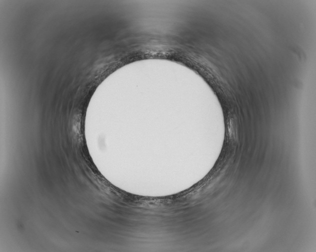 X0000110741396200907271052