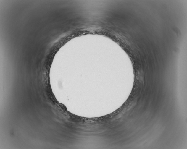 X0000110741398200907271052