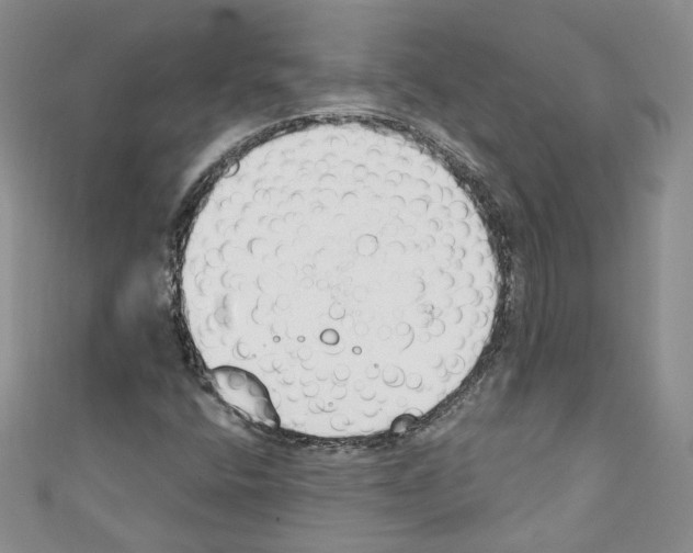 X0000110741400200907271052