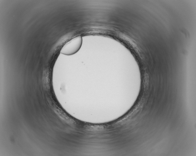 X0000110741403200907271052