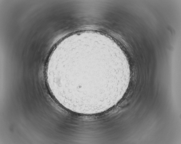X0000110741404200907271052