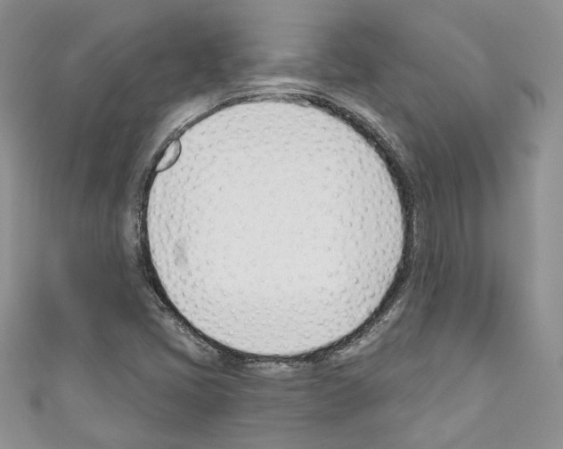 X0000110741405200907271052