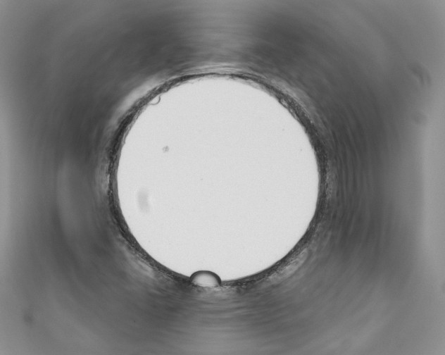 X0000110741406200907271052